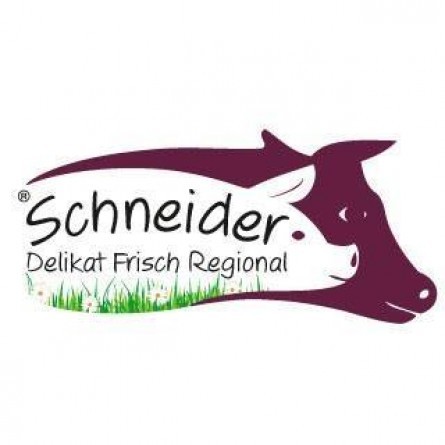 Logo Schneider 2