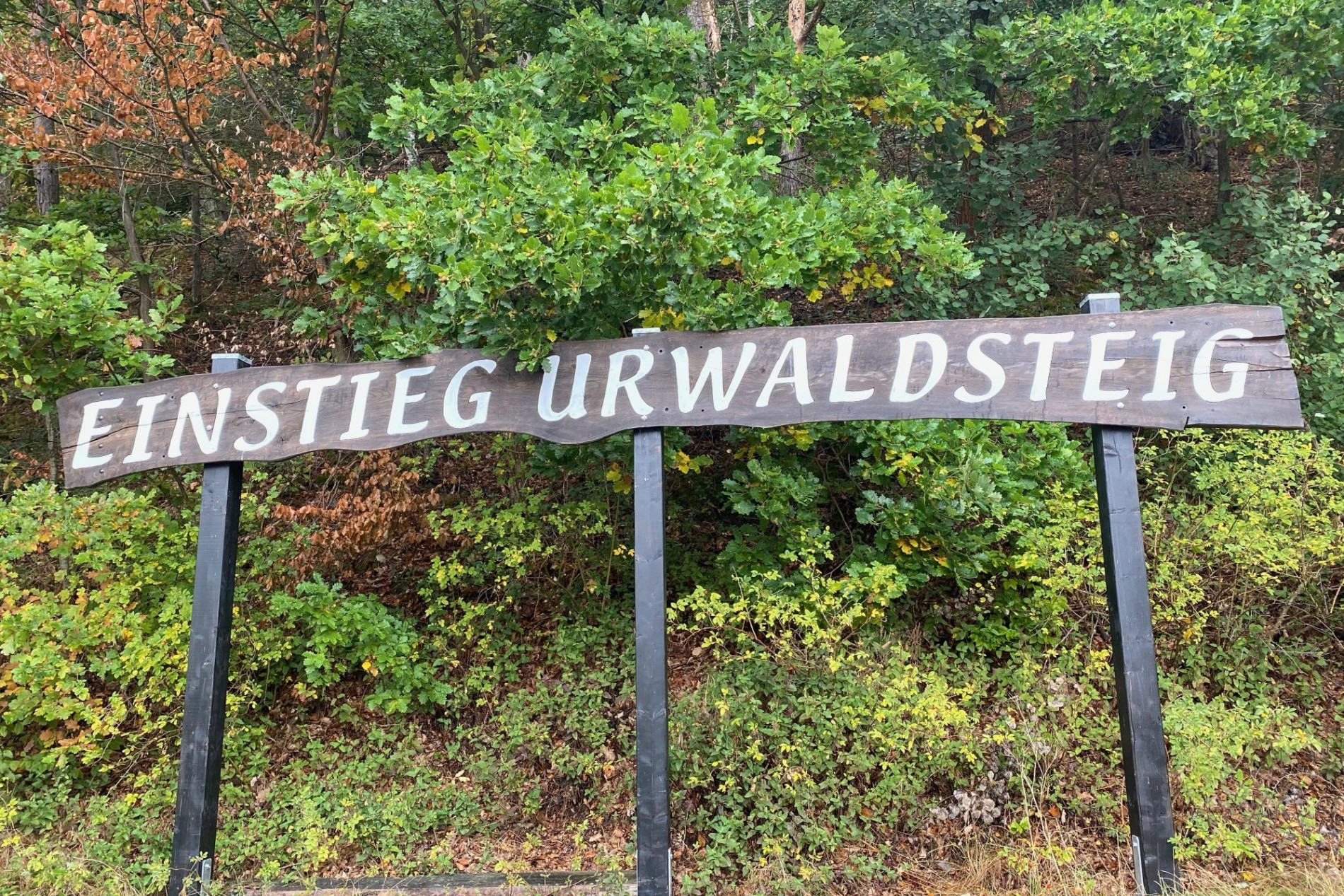 Wandern-auf-dem-Urwaldsteig-Edersee-Kellerwald-Tipps-Schloss-Muehlecke-Route-Einstieg-Urwaldsteig