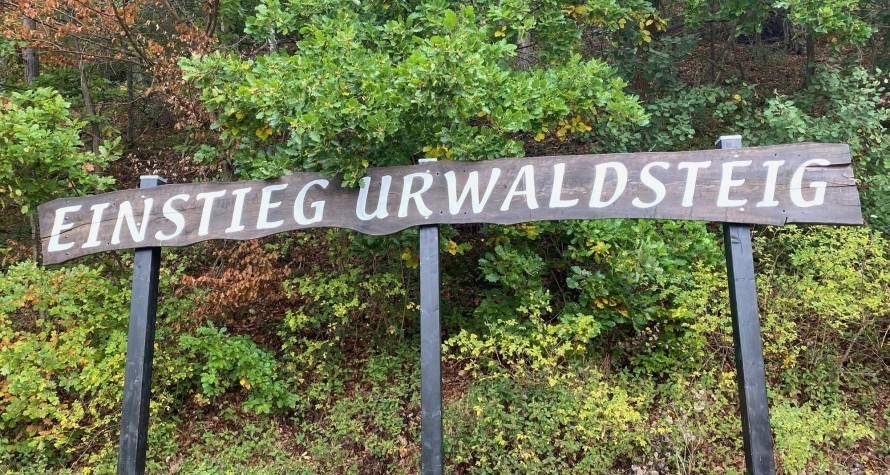 Wandern-auf-dem-Urwaldsteig-Edersee-Kellerwald-Tipps-Schloss-Muehlecke-Route-Einstieg-Urwaldsteig