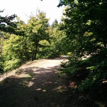 Ratzeburg Jägerstieg 02
